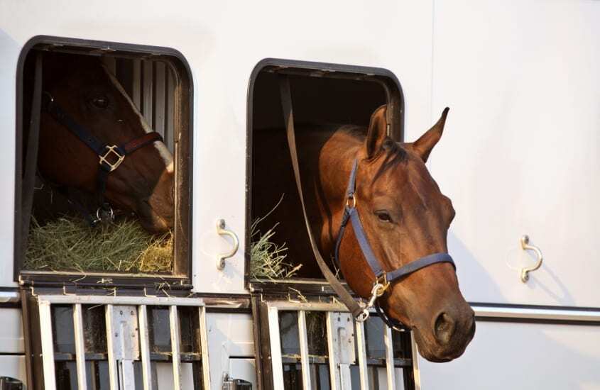 Trailer windows